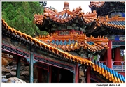 Summer Palace 2